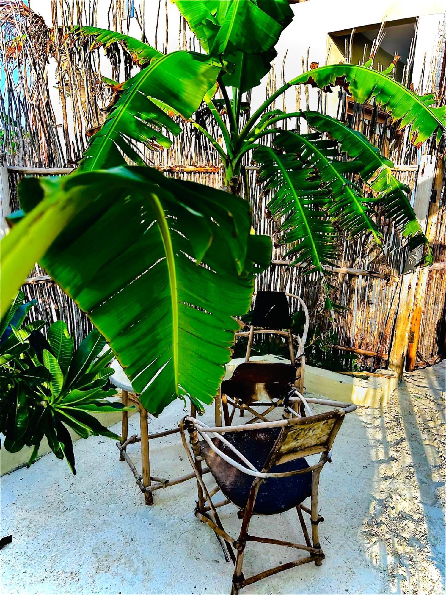 Zanzi Soul Luxury Boutique Hotel Jambiani  Extérieur photo